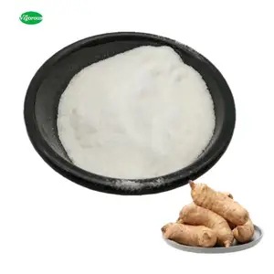 Free sample 5:1 gastrodia elata root rhizoma extract powder 98% gastrodin