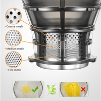SJ-071 250W Draagbare Elektrische Vers Sap Machine Thuis Fruit Koude Pers Trage Citrus Juicer Extractor Voor Huishoudelijk Gebruik
