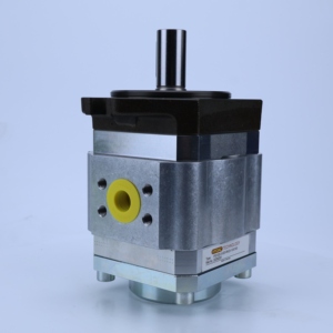 PGI102 PGI101 PGI103 PGI102-2 PGI102-3 PGI102-6 ปั๊มไฮดรอลิกแรงดันสูง PGI102-3-020-RK23-10-6100 ปั๊มเกียร์ PGI102 ปั๊มเกียร์ PGI102 - Product Image 2