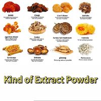 Poudre d'extrait de Crinière de Lion OEM avec Vitamine C et Lutéine, Emballage Personnalisé en Bouteille/Fût, Qualité Alimentaire, Culture Sauvage