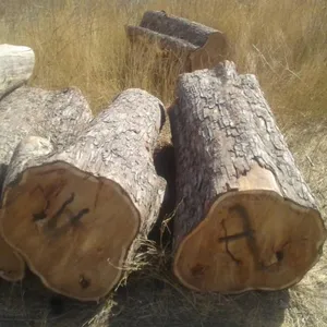 Logs de carvalho branco vaneer para madeira
