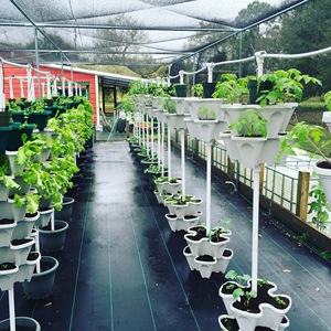 Chậu trồng cây xếp chồng được bằng nhự<span class=keywords><strong>a</strong></span>, kiểu đứng - Product Image 4