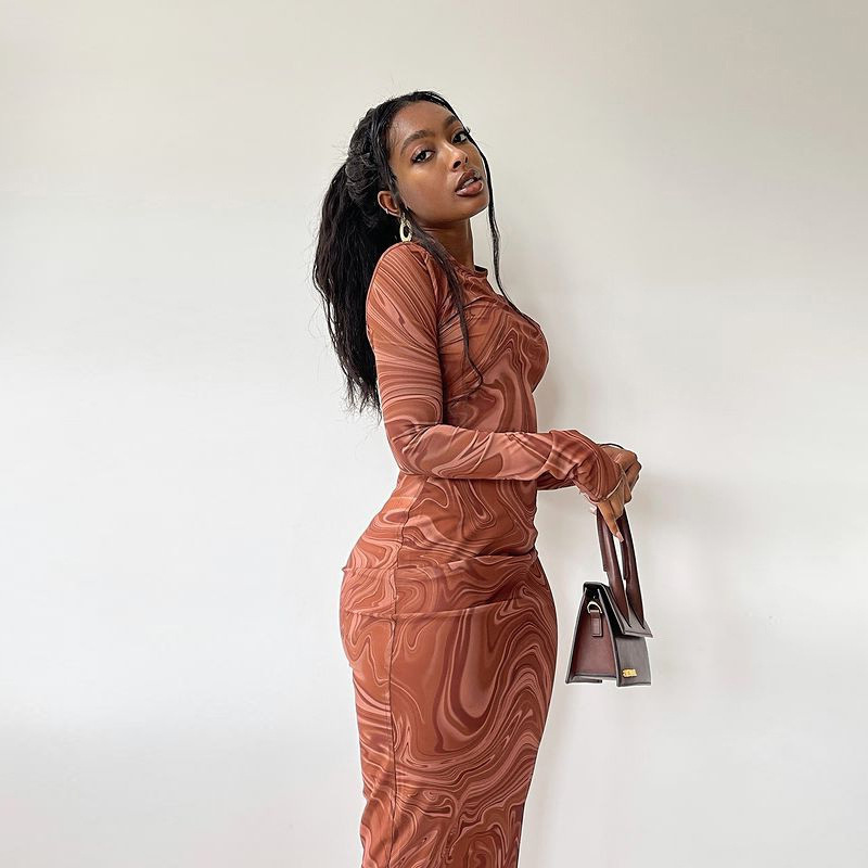 long sleeve tight fitted long dress Deep Draped Neck Long Sleeve Tight-Fitting Mesh Lace Dress, Apricot, R –  Clothingam main image 0