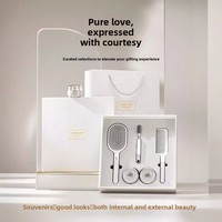 Nouvelle collection 2026 : Coffret cadeau de luxe léger avec peigne à air en ABS, thème Fête des Dames, idéal pour les cadeaux d'entreprise et les fêtes.