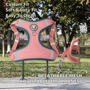 Coleira Peitoral Simples de Cor Sólida em Malha Respirável com Alças Ajustáveis Reversíveis de Poliéster para Cães, com Guia, Lavável à Máquina - Product Image 3