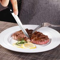 Scherpe drievoudig geniete roestvrijstalen steakmessen voor bruiloften, moderne barbecues & het snijden van steak