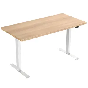 High tech executive office desks schreibtisch dual motor adjustable electric standing desk