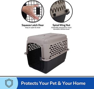 Wholesale Eco-Friendly Hard-Sided Luxury Large Dog Crate 10kg Capacity Airline Transport Plastic Travel <b>Carrier</b> for <b>Cats</b> Dogs - Product Image 3