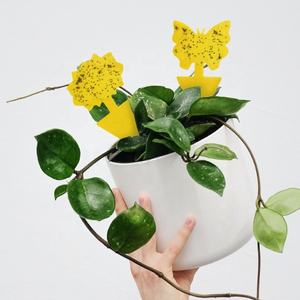 Trampas directas para insectos voladores de jardín al aire libre para hormigas, escarabajos, garrapatas, tablero de trampas adhesivas sólidas, protección de plantas para césped y uso agrícola - Product Image 2