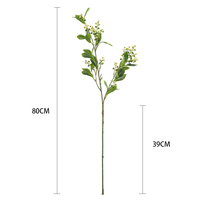 Ranting Eucalyptus Berdaun Asli dengan Biji, Grosir Ranting Buah untuk Rangkaian Bunga Dekorasi Rumah