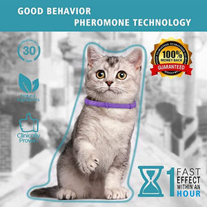 <span class=keywords><strong>Collar</strong></span> calmante para mascotas, con olor de larga duración, para calmar a las mascotas - Product Image 5