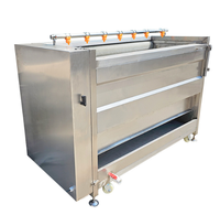 Nieuwe automatische fruit- en groentewasmachine met borstel voor aardappelen, gember, wortelen, zeevruchten etc.