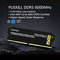 NEW PUSKILL DDR5 RAM 16G 6000 CX CL36 Desktop Memory Gaming E-sports Vest Strip