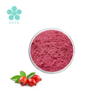 उच्च गुणवत्ता Rosehip फल पाउडर 100% शुद्ध प्राकृतिक कार्बनिक सूखे लाल गुलाब हिप पाउडर