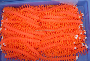 Mainan Serangga Kelabang TPR Murah Grosir untuk Promosi, Warna Macaron, untuk Mainan & Hadiah Promosi - Product Image 6