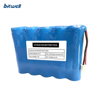 Pack de batteries lithium-ion BITWELL série 5 18650 et 21700 18,5V 2000-5000mAh avec sortie câblée BMS pour la production d'énergie éolienne
