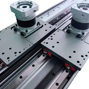 Pignone per cremagliera guida di movimento a scorrimento lineare XY Stage Linear Rail con cremagliera