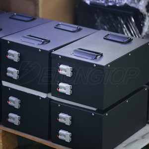 Batería de Ciclo Profundo Delong DL-5150 de Litio Ferrofosfato 48V 51.2V 50Ah para Triciclo/Pedicab, Batería de Litio DL-5150 48V 50Ah - Product Image 2