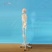 Science médicale 180cm taille réelle en plastique anatomie humaine squelette modèle anatomique modèle humain squelette taille réelle