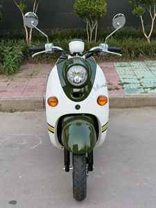 ยามาฮ่า วีโน่50, ยามาฮ่า ลิตเติ้ล เทอร์เทิล - Product Image 6