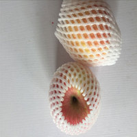 Fruitnetzakjes voor appels en courgettes; Stootvaste gaaszakjes met parelschuimhoezen; Fruitbeschermende zakjes model Fruit Net