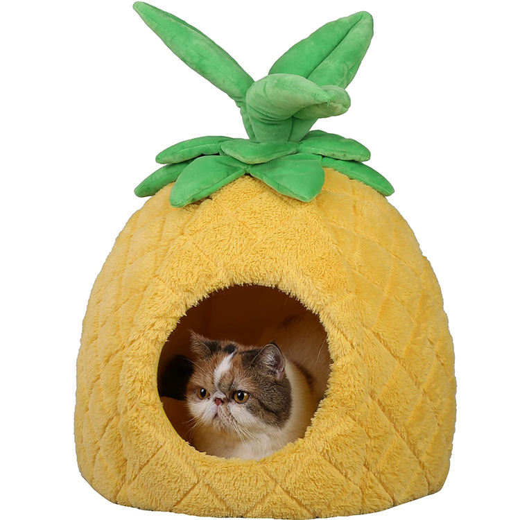 สับปะรดสีเหลือง