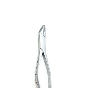 Vente en gros de forceps d'extraction dentaire les plus vendus, en acier inoxydable, manuels, pour usage professionnel - Product Image 3