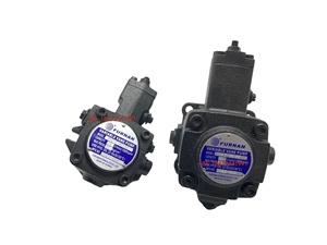 ปั๊มน้ำมันไฮดรอลิกแบบใบพัด <span class=keywords><strong>FUNAN</strong></span> Funaan VHI-F-40/30-A1/A2/A3 VHO-F-20/15/12-A1 T9 - Product Image 5