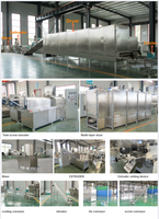 Riz enrichi d'acier inoxydable faisant la chaîne de production artificielle automatique de riz de machine avec le nouveau moteur pour l'usine de fabrication