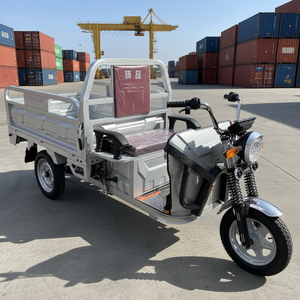 Tricycle électrique à carrosserie ouverte <span class=keywords><strong>pour</strong></span> la vente <span class=keywords><strong>de</strong></span> glaces et <span class=keywords><strong>de</strong></span> nourriture, capacité <span class=keywords><strong>de</strong></span> charge <span class=keywords><strong>de</strong></span> 300-400 kg et vitesse <span class=keywords><strong>de</strong></span> 30-50 km/h - Product Image 1