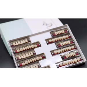 Dents artificielles en résine acrylique, dents de prothèse dentaire, dents en résine composite <span class=keywords><strong>pour</strong></span> prothèses complètes et prothèses partielles - Product Image 2