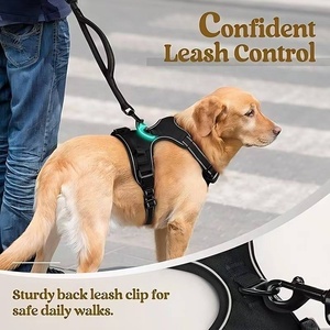 Chaleco Reflectante Transpirable Premium para Pasear Mascotas, Ajustable, Sin Tirones, para Perros Medianos y Grandes, Control Seguro para Paseos al Aire Libre - Product Image 3