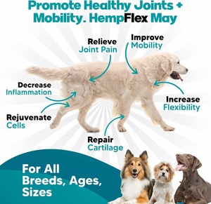 Golosinas Masticables de Cáñamo para Perros ODM/OEM - Golosinas Masticables de Cáñamo Ideales para el Sueño - Product Image 5