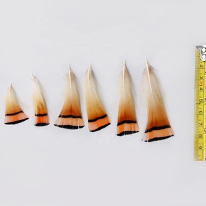 1.6-3.2 inch (4-8 cm) bán buôn Chất lượng cao màu sắc tự nhiên nguyên vàng gà lôi đầu lông cam trang trí lông - Product Image 5
