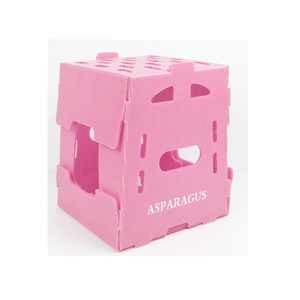 PERU Măng Tây Đóng Gói Hộp Nhựa Sóng Rau Hộp Nhà Sản Xuất - Product Image 3