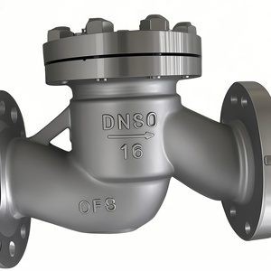 <span class=keywords><strong>Clapet</strong></span> <span class=keywords><strong>anti</strong></span>-<span class=keywords><strong>retour</strong></span> à bride, extrémité RF, en acier inoxydable - Product Image 1