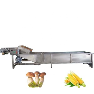 Commercial bubble washing machine vegetable and fruit bubble washer machine