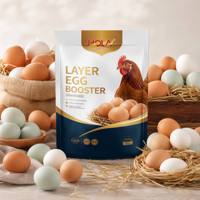 Additifs Alimentaires Mixtes pour Volailles : Améliore la Taux de Fertilisation et l'Efficacité de la Ponte – Optimiseur d'Œufs de Poule – Vente en Gros