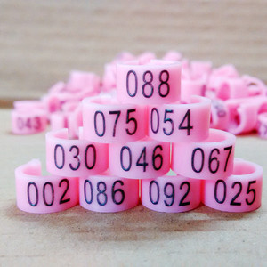 <span class=keywords><strong>Plastic</strong></span> Vogel Duif Clip Bandjes Open Ring Identificatie Ring Homing Kippenpoot Band Duif Voor Kanarie Parkiet Vink Tortelvogel - Product Image 3