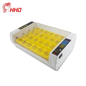 Máy Ấp Trứng Vẹt Vẹt Macaw Chất Lượng Cao Máy Ấp Trứng - Product Image 1