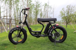 Bafang vélo de montagne électrique <span class=keywords><strong>à</strong></span> entraînement arrière pour adultes, <span class=keywords><strong>pneu</strong></span> Offre Spéciale de 20 pouces - Product Image 3