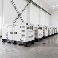 Générateur diesel silencieux Baudouin Yangdong WellPower 10-100 kW 20-100 kVA avec alternateur Stamford certifié ISO/CE, auto-démarrant