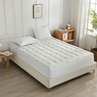 Vente en gros de surmatelas en fibre de bambou Couvre-matelas matelassé rafraîchissant Lavable Respirant Protège-matelas Plié Matelas pliant