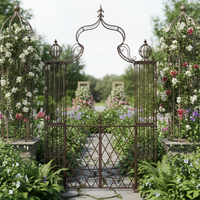 Arche de mariage en métal robuste à double barre pour plus de stabilité, arche de jardin décorative rustique en métal pour entrée de patio