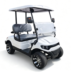 Carrito de Golf Eléctrico para 2 Pasajeros - Product Image 3