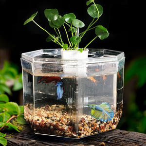Mini aquariums LED multifonctionnels pièces, accessoires et petits Aquariums écologiques <span class=keywords><strong>pour</strong></span> étang à poissons, équipement <span class=keywords><strong>pour</strong></span> salon et bureau - Product Image 3