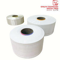 Fil mère en nylon 6 semi-mat (SD) pour la fabrication de monofilaments fendus 180D-500D, fil fendu en polyamide 6 pour tissu mat