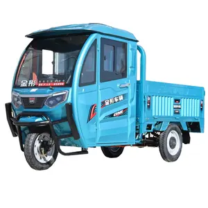Electric Rickshaw For Family Use Passenger Transport Cargo Tricycle With Cabin 3 Wheeler E-Loader