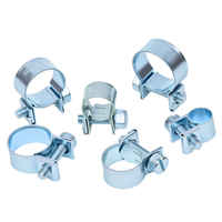 Colliers de serrage miniatures en zinc bleu et blanc |   Petits clips de fixation à vis pour conduites de carburant, tuyaux d'air et tubes d'eau
