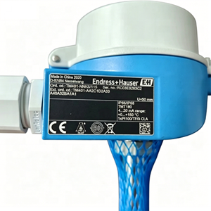 Evanshauser TM401-15744/0 (TM401-AA1F1J3A13A70A30AR3A1) E+H ทองเหลือง ITHERM เซ็นเซอร์วัดอุณหภูมิโรงไฟฟ้า - Product Image 2